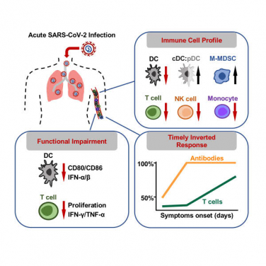 HKUMed discovers that acute SARS-CoV-2 infection impairs human immune defences: significant implications for viral transmission,  disease severity and vaccine research